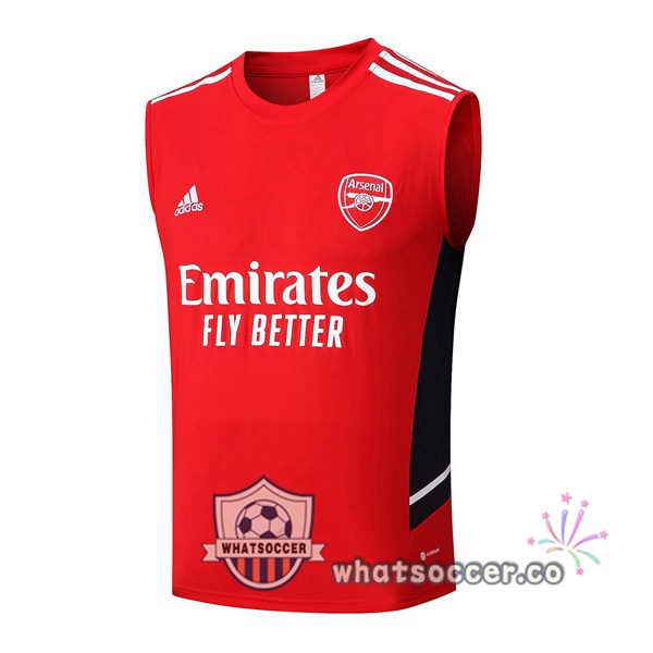 Arsenal Red Soccer Vest 2022-2023