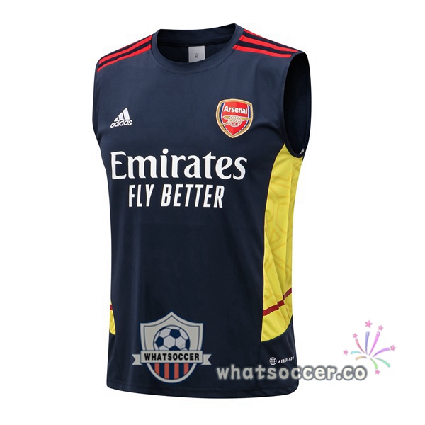 Arsenal Blue Royal Soccer Vest 2022-2023