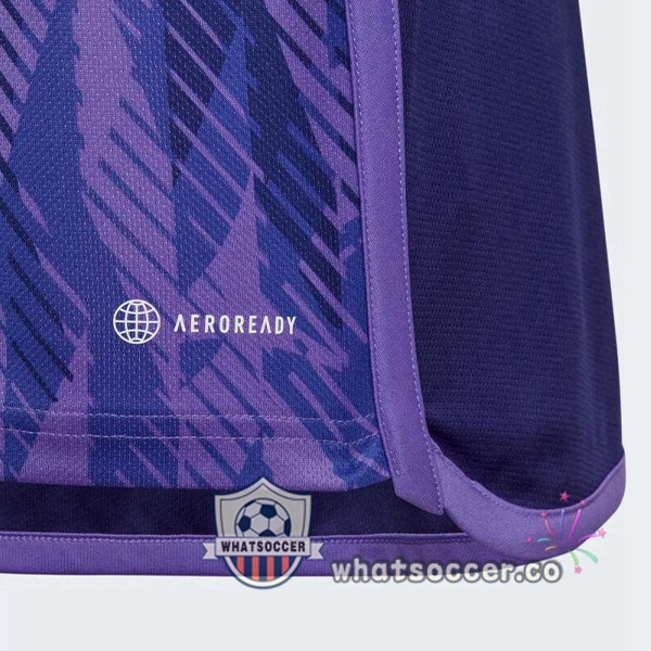 Argentina Away Soccer Jerseys Purple 2022-2023