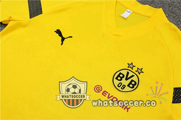 Dortmund BVB Training T-Shirts + Shorts Yellow 2022-2023