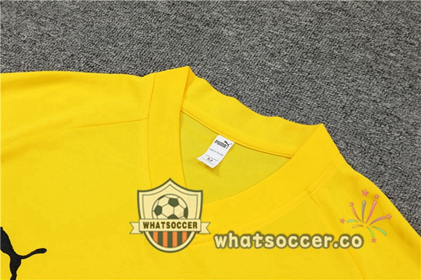 Dortmund BVB Training T-Shirts + Shorts Yellow 2022-2023