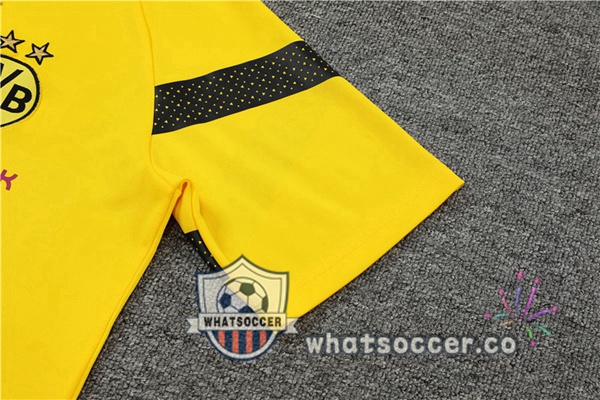 Dortmund BVB Training T-Shirts + Shorts Yellow 2022-2023
