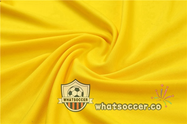 Dortmund BVB Training T-Shirts + Shorts Yellow 2022-2023