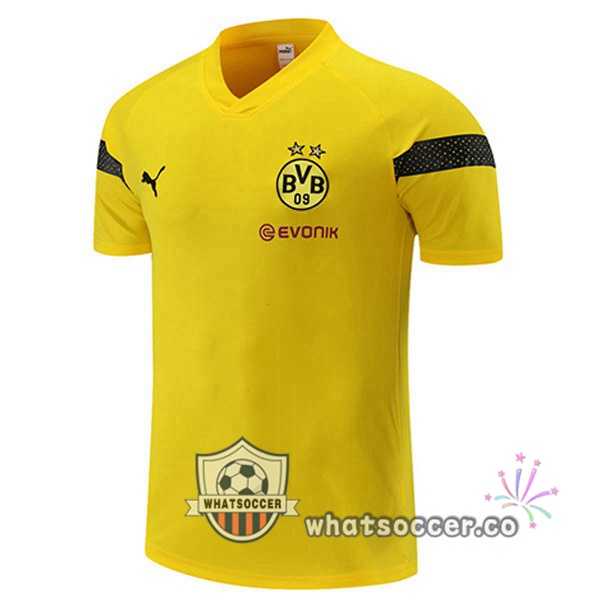 Dortmund BVB Training T-Shirts Yellow 2022-2023