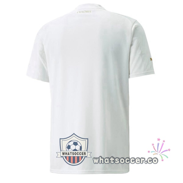 Serbia Away Soccer Jerseys White 2022-2023