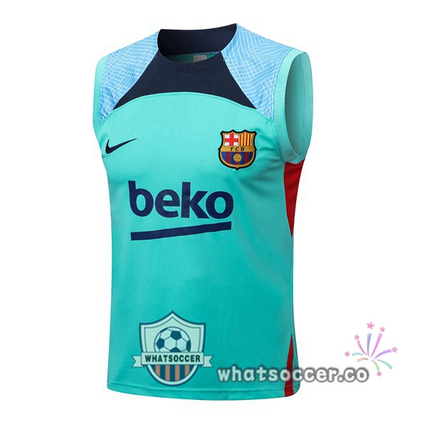FC Barcelona Green Soccer Vest 2022-2023