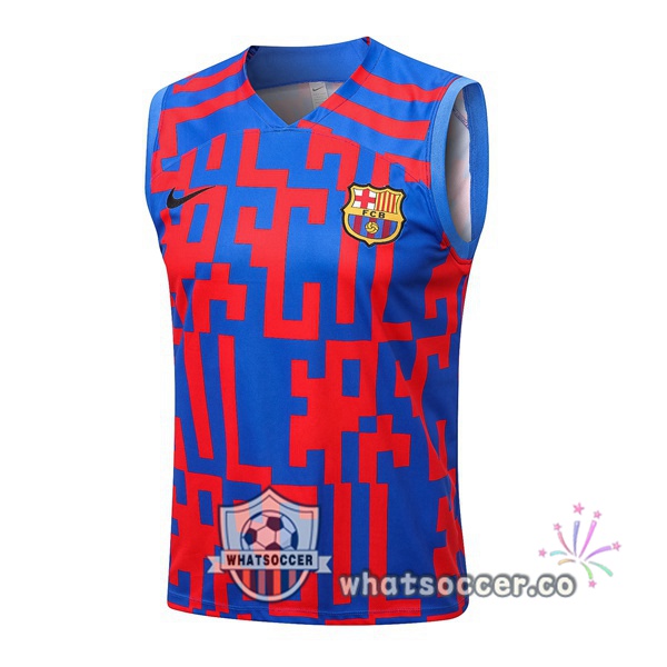 FC Barcelona Blue Red Soccer Vest 2022-2023