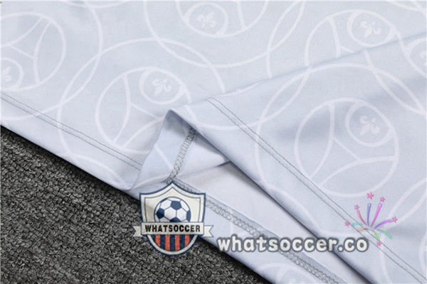 Paris PSG Gray Tracksuit 2022-2023