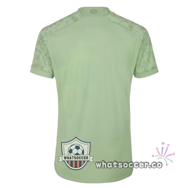 Bayern Munich Special Edition Soccer Jerseys Green 2023-2024