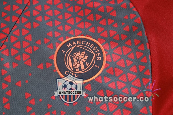 Tracksuit Manchester City Red Gray 2023-2024