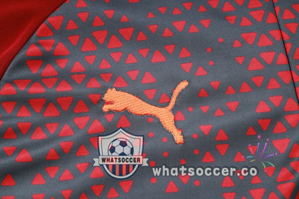 Tracksuit Manchester City Red Gray 2023-2024