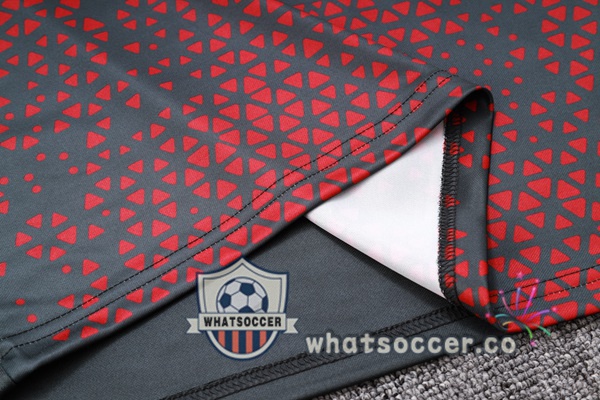 Tracksuit Manchester City Red Gray 2023-2024