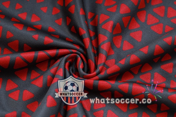 Tracksuit Manchester City Red Gray 2023-2024