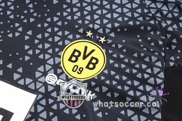 Dortmund BVB Training T-Shirts + Shorts Black 2023-2024