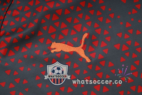 Manchester City Training T-Shirts + Shorts Red Gray 2023-2024