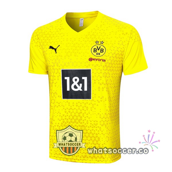 Dortmund BVB Training T-Shirts Yellow 2023-2024