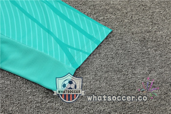 FC Barcelona Training T-Shirts + Shorts Green Blue Royal 2023-2024