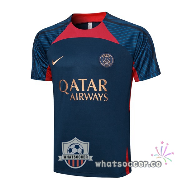Paris PSG Training T-Shirts Blue Royal 2023-2024