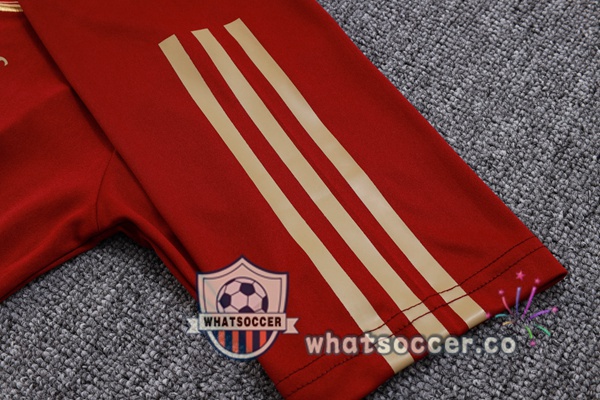 Training Polo Arsenal + Pants Red 2023-2024