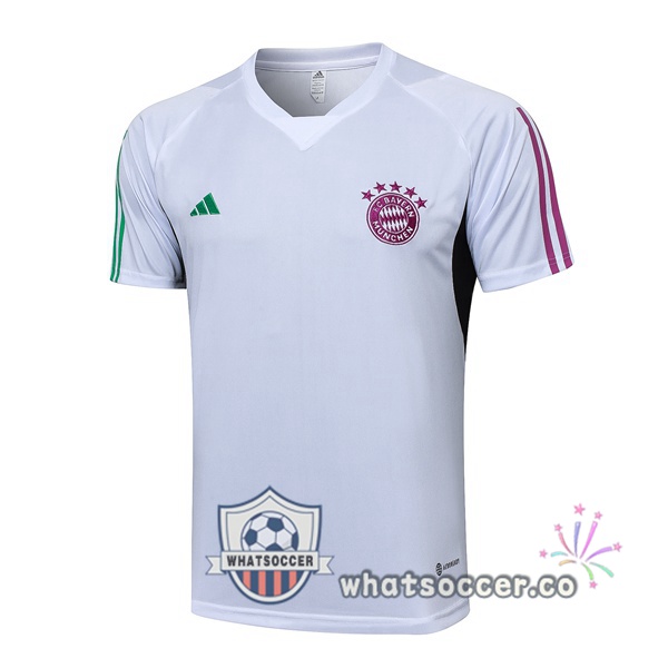 Bayern Munich Training T-Shirts White 2023-2024