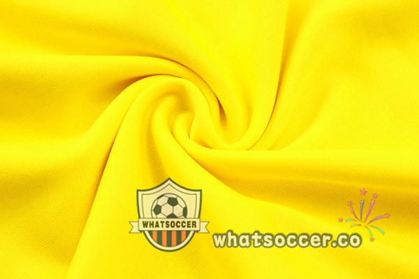 Training Polo Dortmund BVB + Pants Yellow 2023-2024