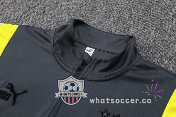 Tracksuit Dortmund BVB Gray 2023-2024