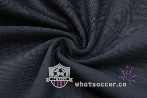 Tracksuit Dortmund BVB Gray 2023-2024