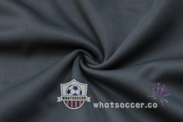 Training Jacket Manchester City Gray 2023-2024