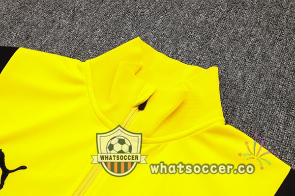 Training Jacket Dortmund BVB Yellow 2023-2024