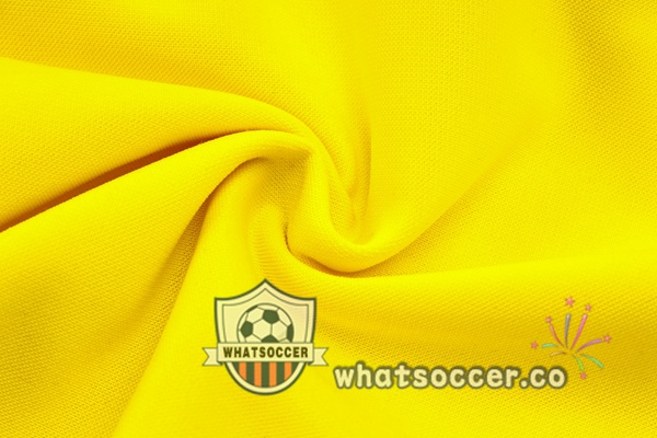 Training Jacket Dortmund BVB Yellow 2023-2024