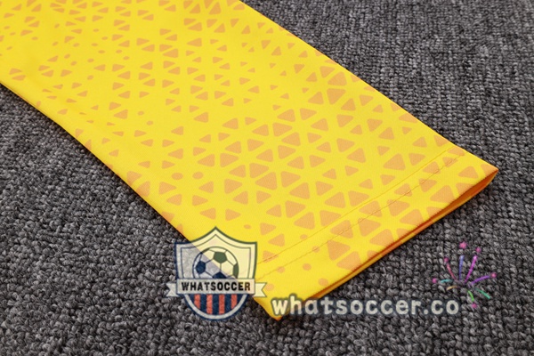 Training Jacket Dortmund BVB Yellow 2023-2024