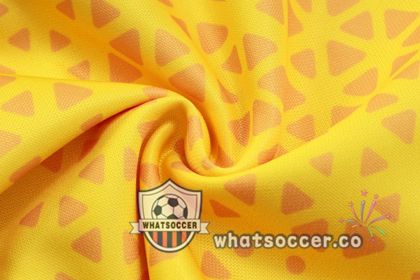 Training Jacket Dortmund BVB Yellow 2023-2024