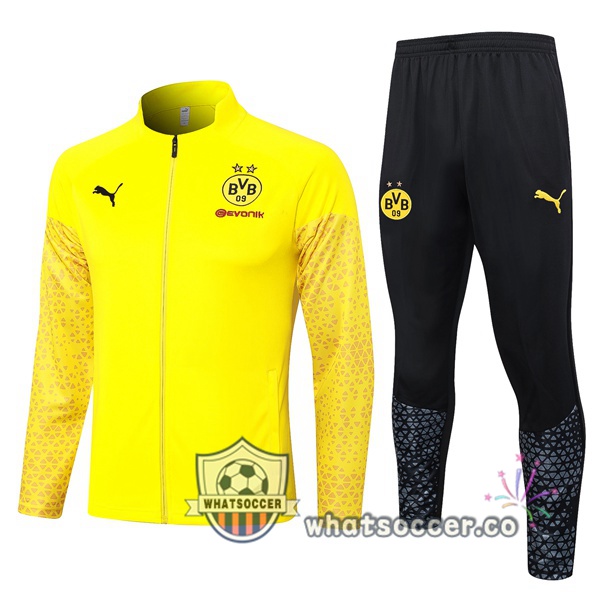 Training Jacket Dortmund BVB Yellow 2023-2024