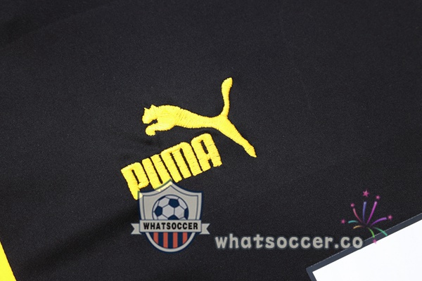 Dortmund BVB Training T-Shirts + Pants Black 2023-2024