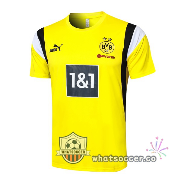 Dortmund BVB Training T-Shirts Yellow 2023-2024