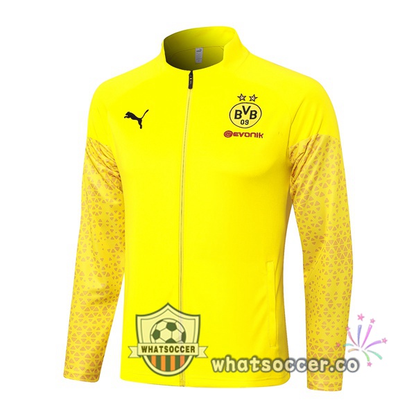 Soccer Jacket Dortmund BVB Yellow 2023-2024