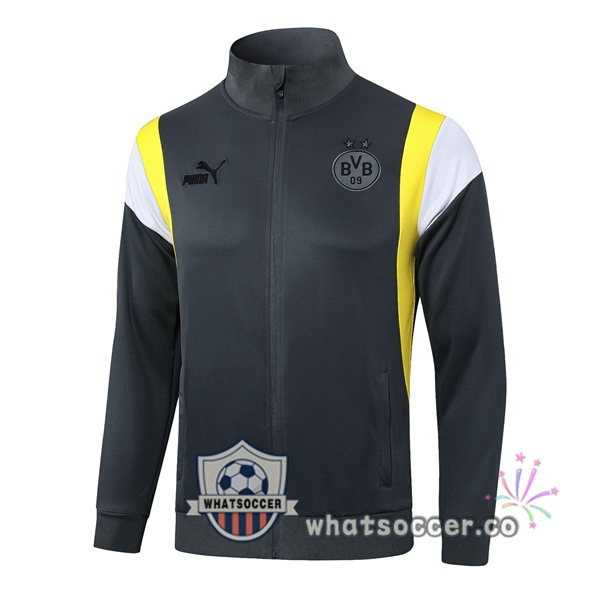 Soccer Jacket Dortmund BVB Gray 2023-2024