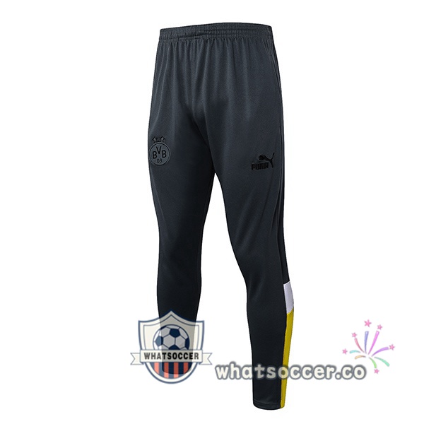 Dortmund BVB Soccer Pants Gray 2023-2024
