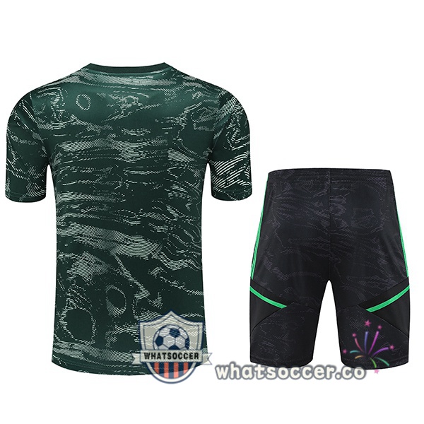 Real Madrid Training T-Shirts + Shorts Green 2023/2024