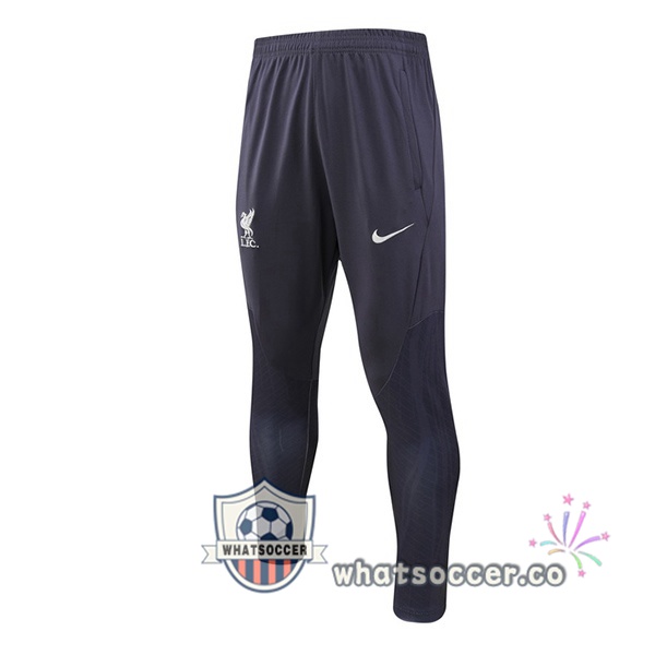 FC Liverpool Soccer Pants Gray 2023/2024