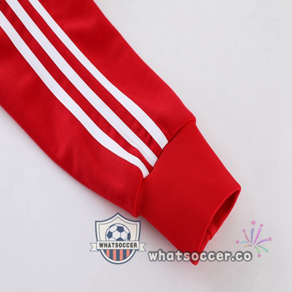 Bayern Munich Red Hooded Jacket 2023-2024