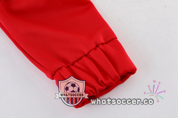 Bayern Munich Red Training Jacket 2023-2024