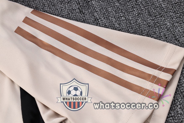 Germany Training T-Shirts + Pants Marron 2023-2024