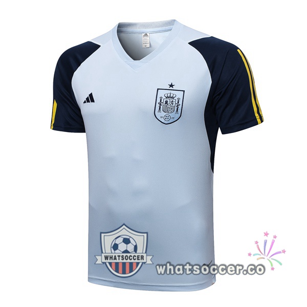 Spain Training T-Shirts Blue 2023-2024