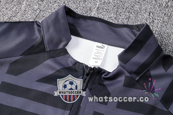 Dortmund BVB Gray Training Jacket 2023-2024