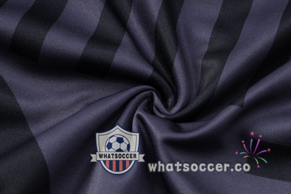 Dortmund BVB Gray Training Jacket 2023-2024