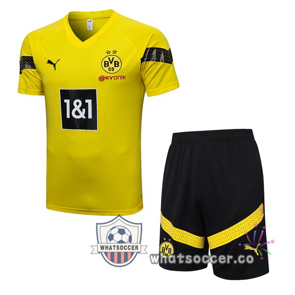 Dortmund BVB Training T-Shirts + Shorts Yellow 2023-2024