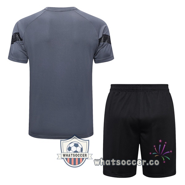 Dortmund BVB Training T-Shirts + Shorts Gray 2023-2024