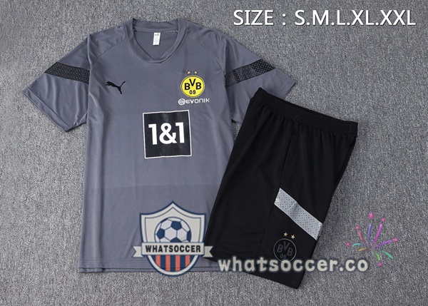 Dortmund BVB Training T-Shirts + Shorts Gray 2023-2024