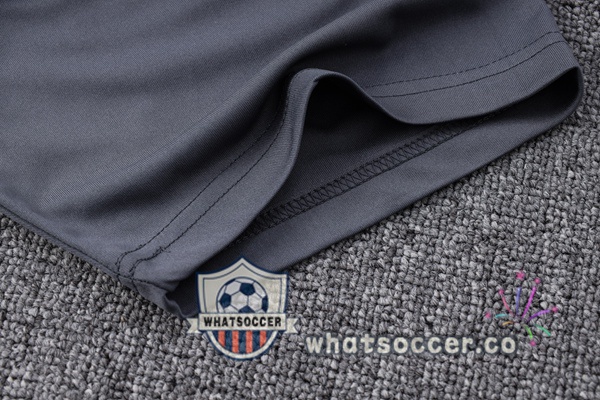 Dortmund BVB Training T-Shirts + Shorts Gray 2023-2024